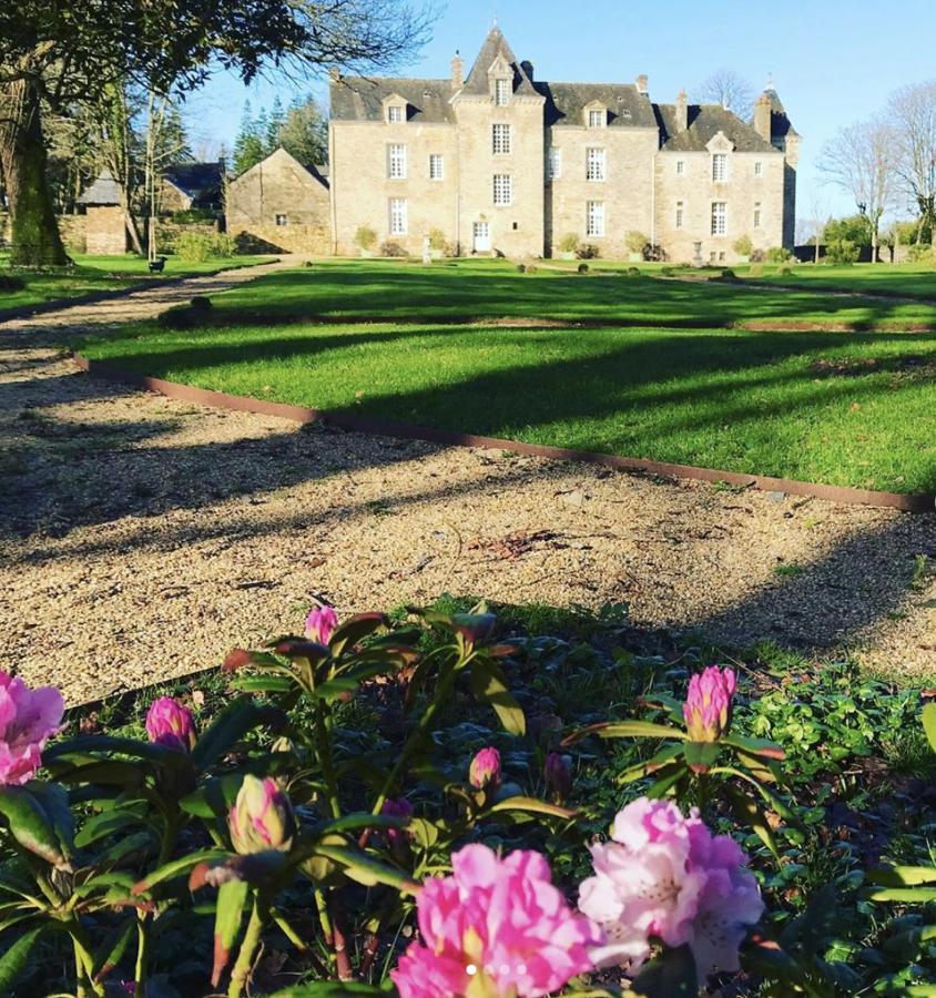Chateau De Cadouzan Saint-Dolay Bagian luar foto